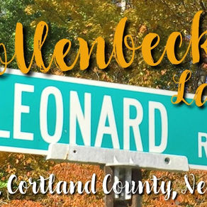 Nicholas Hollenbeck's land in Willet