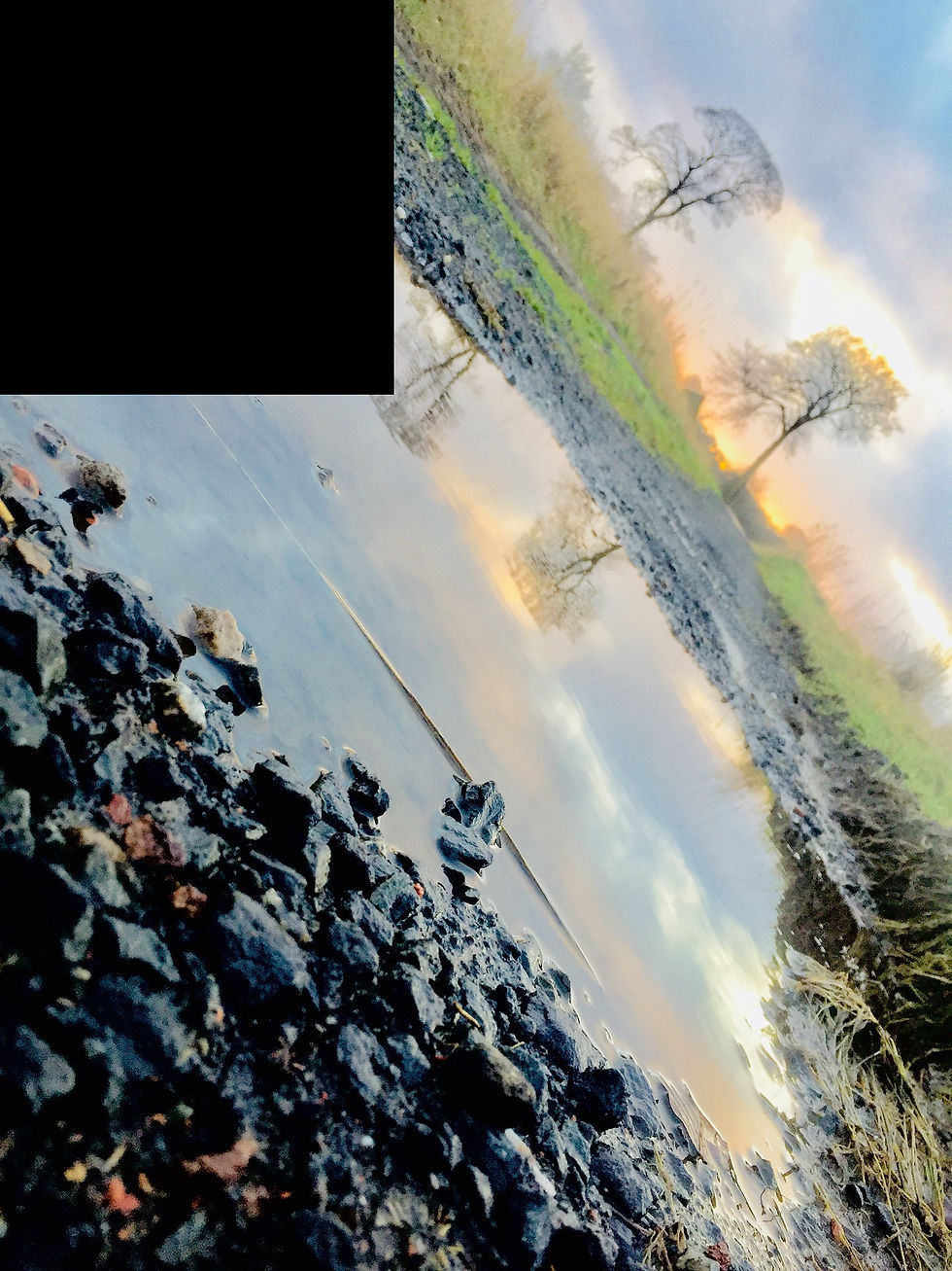 First post of this year