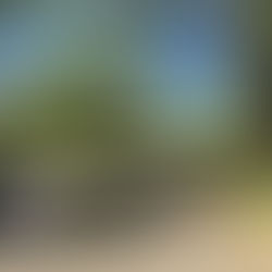 Coronavirus and the Environment