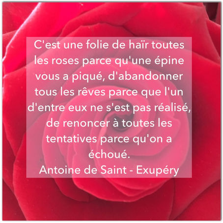 Sophrologie et résilience