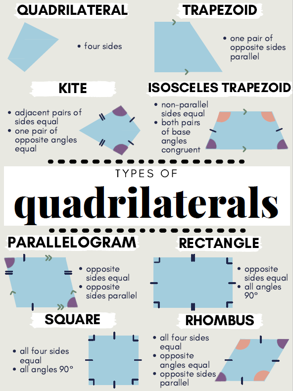 Canva Poster content media