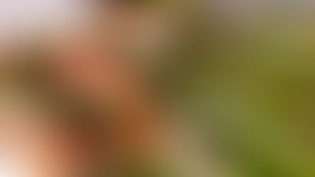 Asparagus with Bacon & Parmesan 