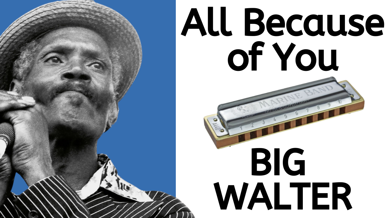 New lesson: All Because of You (Big Walter) content media