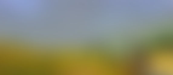 The State of the Union