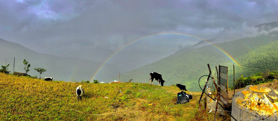 The State of the Union