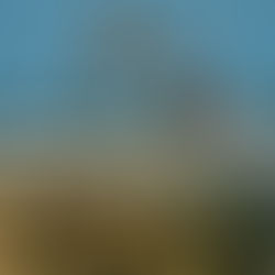 El mar se sigue metiendo, inician obras de espolones para frenar la erosión costera