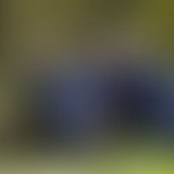 Holšiny (Brdské Hřebeny)