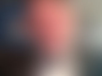 The last course of the CFSS 2020 is now successfully completed!