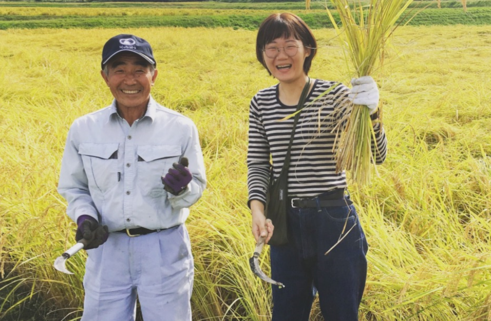 稲刈り体験プログラム