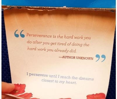Perseverance and a PhD - Part 2