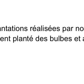 Nos petits jardiniers...