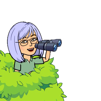 How to Choose Birding Optics