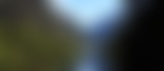 Growing In the Valley