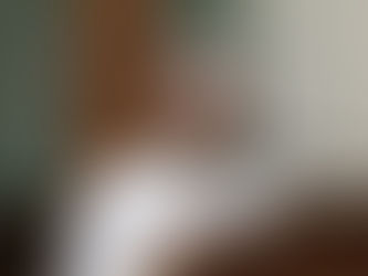 Se discutirán cuentas públicas con transparencia y legalidad: GDN