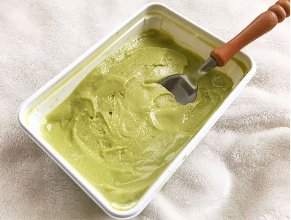 Vegan Matcha Gelato Japan