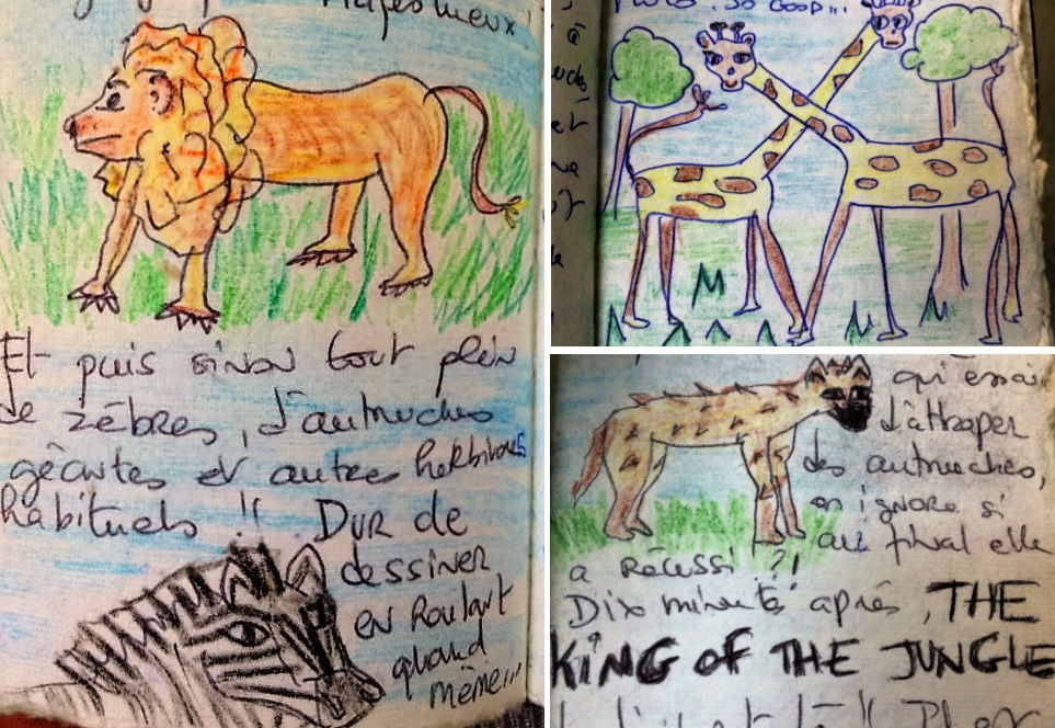 Carnet de voyage Afrique Safari animaux