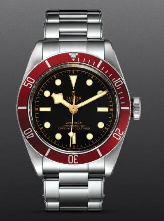 Tudor BLACK BAY M79230R-0012 Watch content media