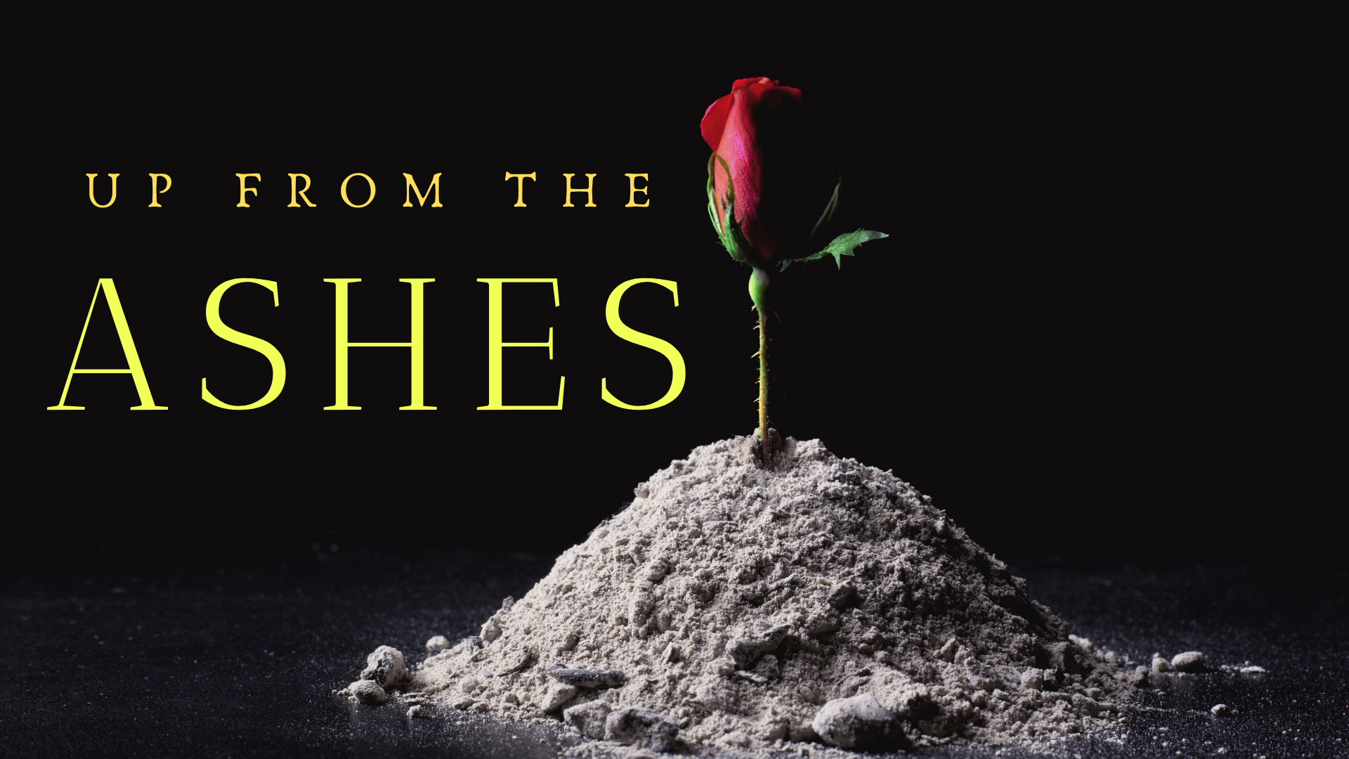Up From the Ashes content media