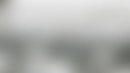 [지식더하기] 얼음에 가시가 자란다고?!