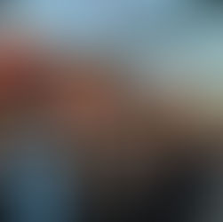 ¿ODIARIAS LA NAVIDAD JAPONESA?