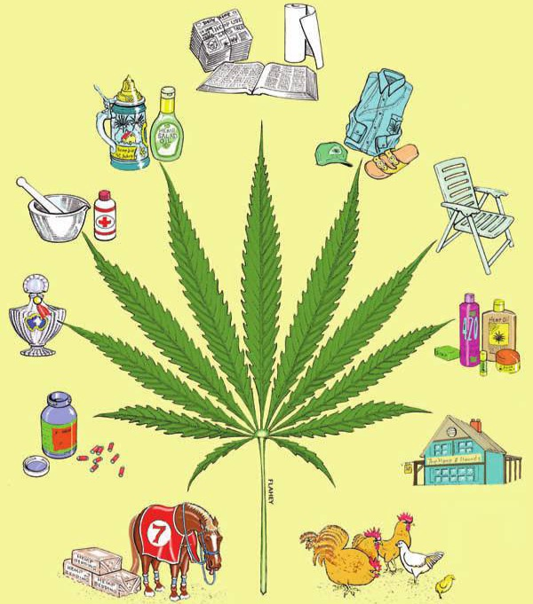 Drawn by B. Flahey