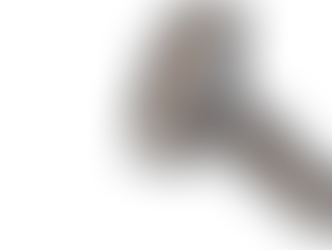 Tu sais, on apprend en forgeant...