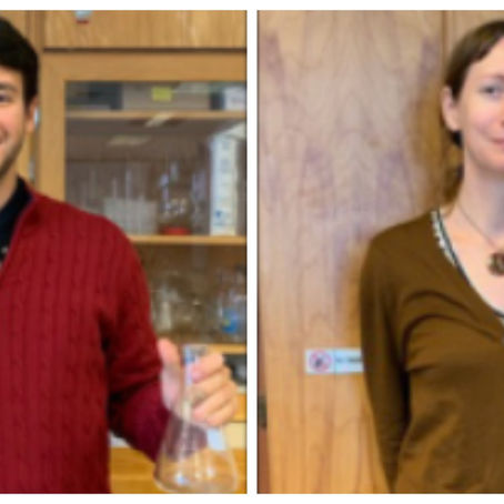 Meet the New Teachers