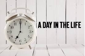 A Day in the Life.... Thailand