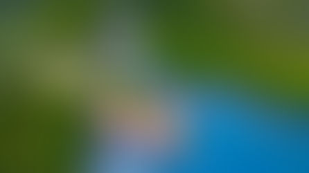 Gathering Asyik Di Mimpi Resort Menjangan