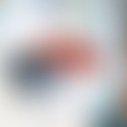 Cubre - bocas: Es correcto usarlo?  Conoce los tipos y cómo utilizarlo.