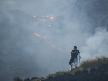Ejecutivo y regiones impulsan buenas prácticas para evitar incendios forestales
