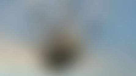 ドローン運用の政府向け「手引き」、世界経済フォーラムが作成