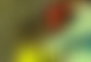 Celebration in isolation-: