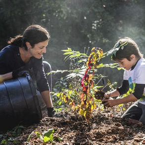 How To Remove Invasive Plants - March 12