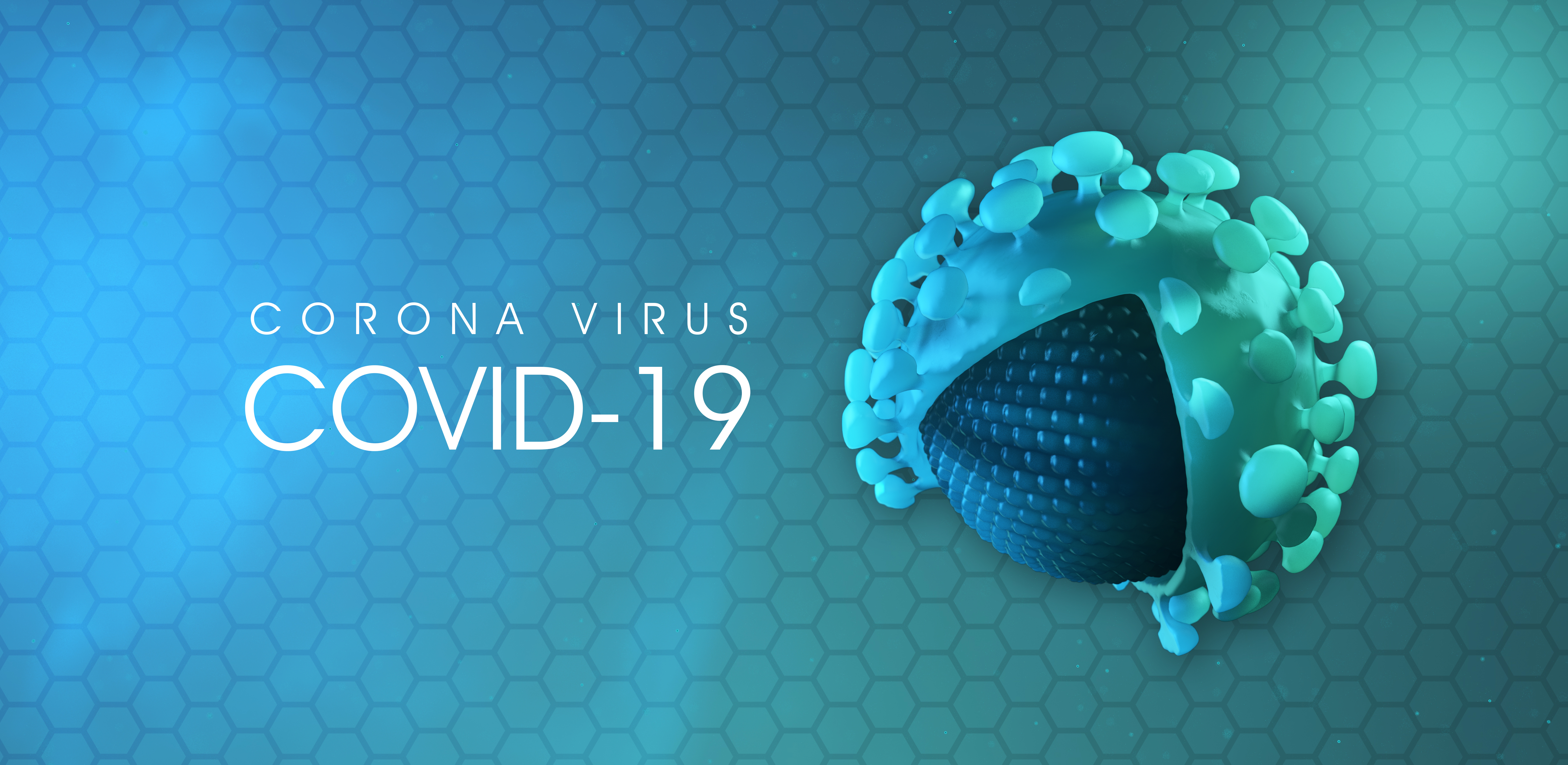 ACUERDO SE DA A CONOCER EL MEDIO DE DIFUSIÓN CORONAVIRUS.GOB.MX content media