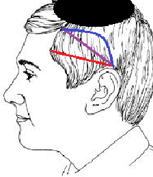 שיעור היקף הפאה לדעת רבינו הרמב"ם content media