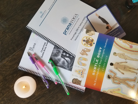 Sattva Vinyasa 100 hour Certification Studies
