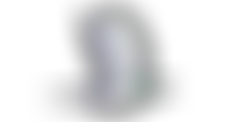 Great Kererū Count 2020