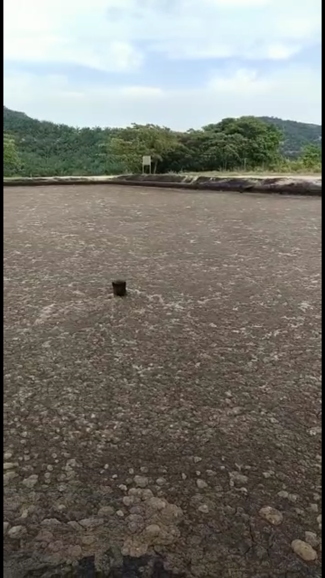 Cooling pond Scum content media