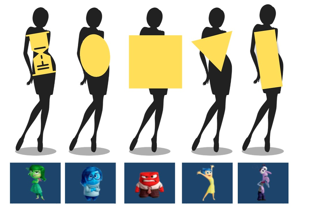 o corpo explica, visagismo, biótipo