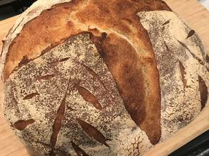 The Indestructible Sourdough Starter