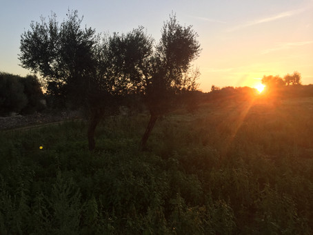 Sonnenaufgang - levata del sole