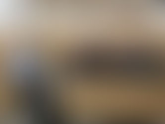 독일 Bonn 대학 Mormann 교수 세미나