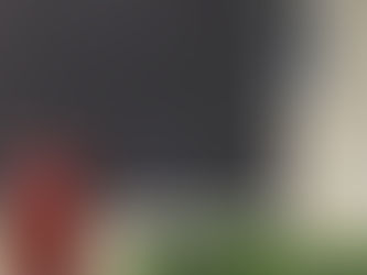 Bird & Squirrel Ponder Their Next Bite