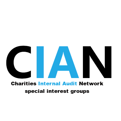 charities internal audit network logo