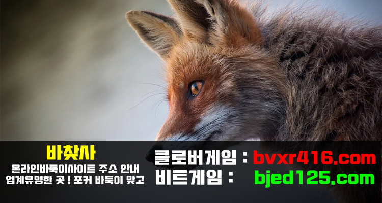 포커 바둑이 맞고 홀덤 섯다 : 웹보드게임! 모바일바둑이게임! content media