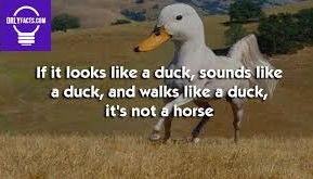 "If It Looks, Sounds, And Acts Like A Duck, It's Probably A Duck"