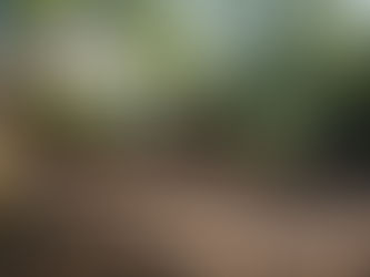 Science & Engineering 10/18