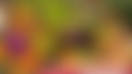 Gov Cuomo Announces Emergency Food Providers to Continue to Deliver New York Agricultural Products