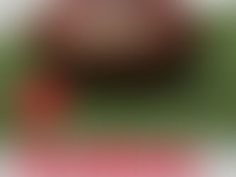 QB Breakdown Blog, Pt. 3